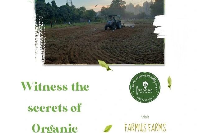 Organic Farming Consulting Service In Gurgaon